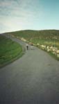 Hoher Kasten 07